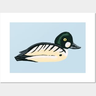 Common Goldeneye Duck Posters and Art